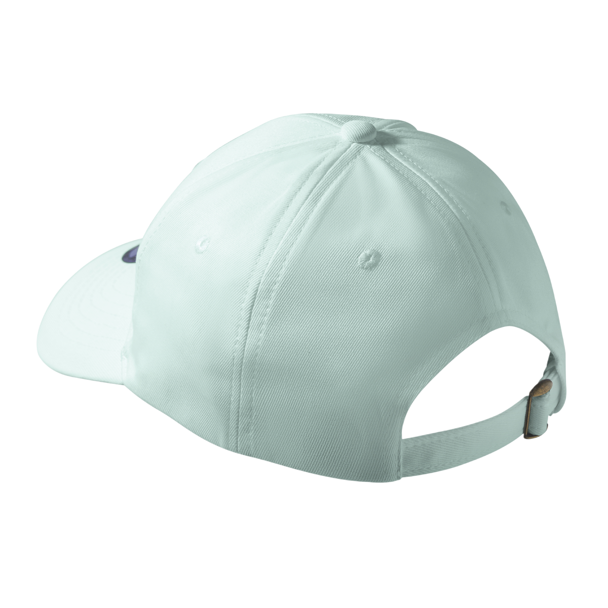 CP28 CP2883_Back.png