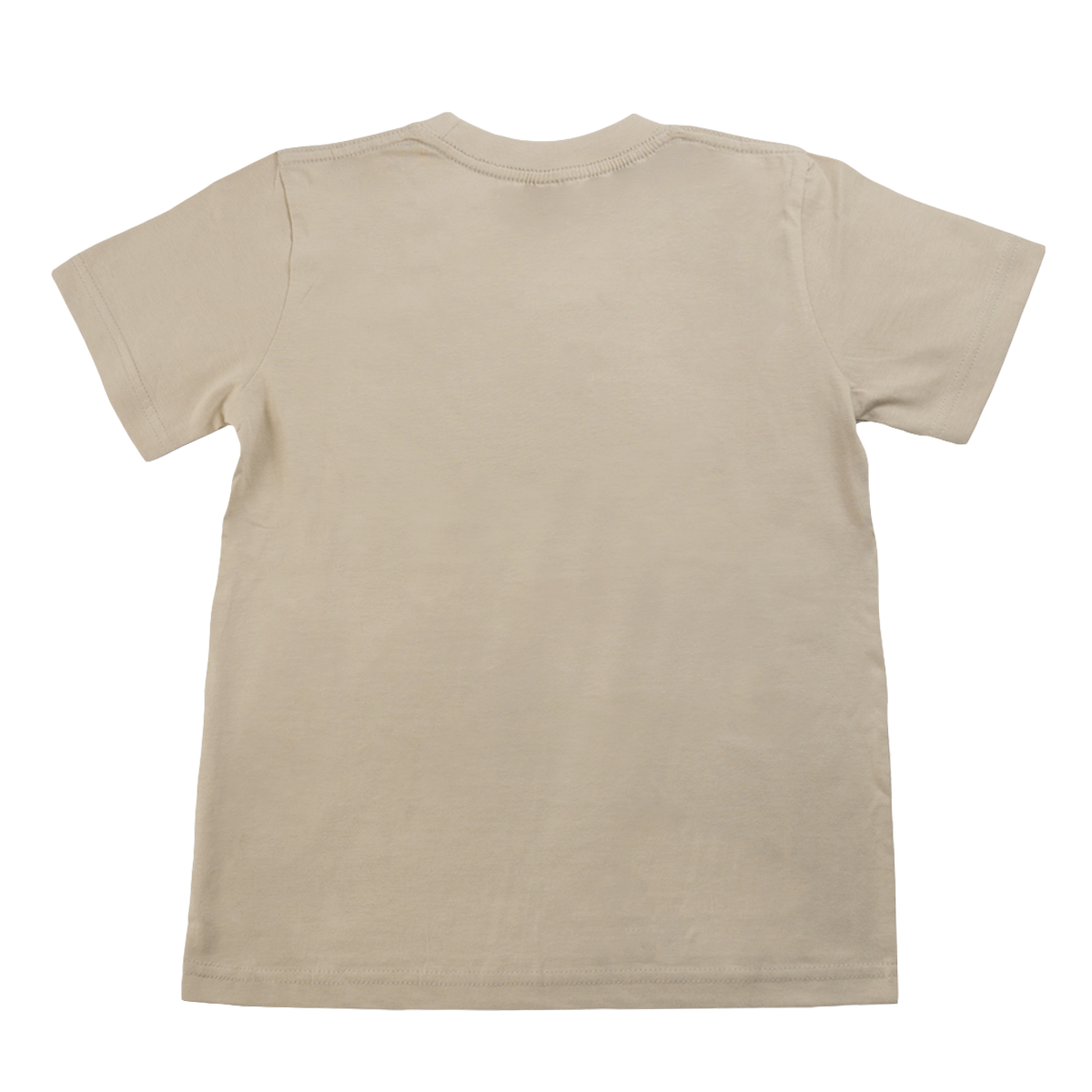 CT52 CT5284_Back.png