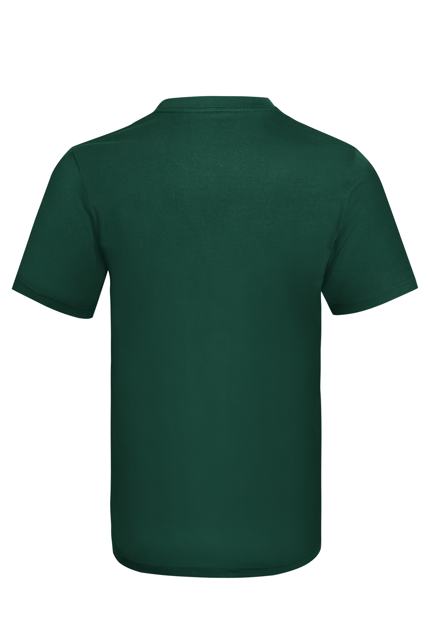 CT60 CT6015_Back.png