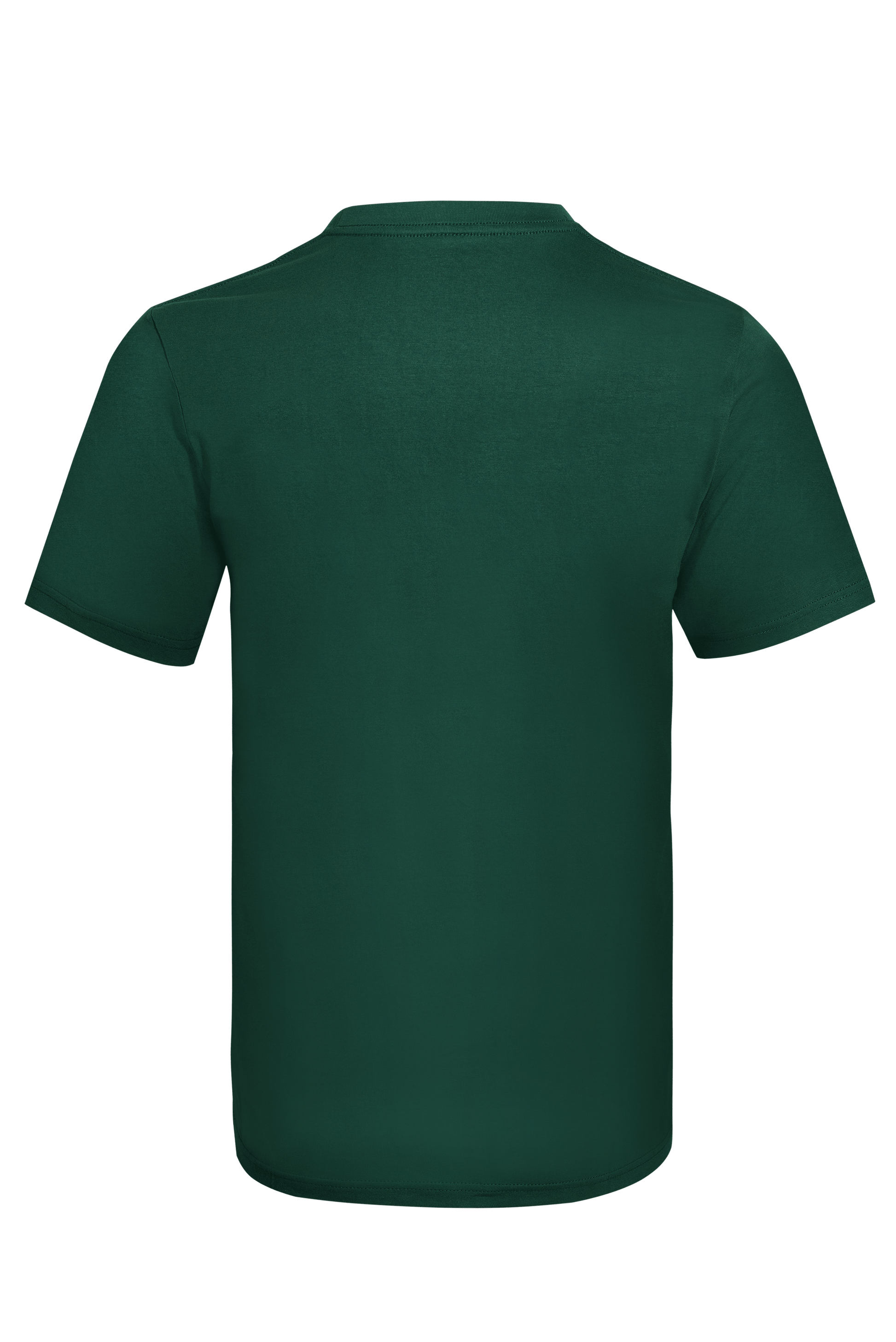 CT60 CT6015_Back.png