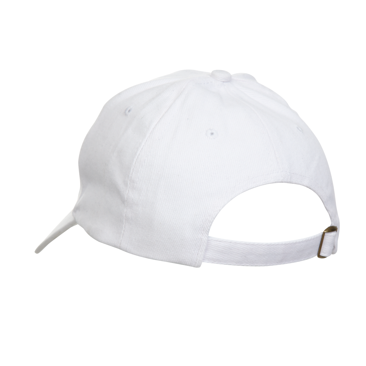 CP01 cp01_back_view.png