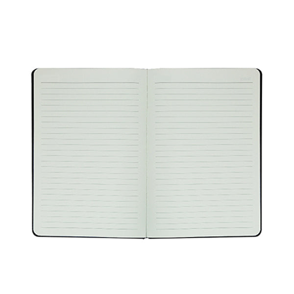 Diaries & Notebooks