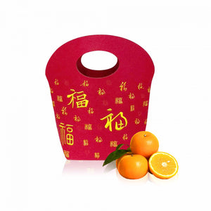 Felt Mandarin Orange Carrier Bag